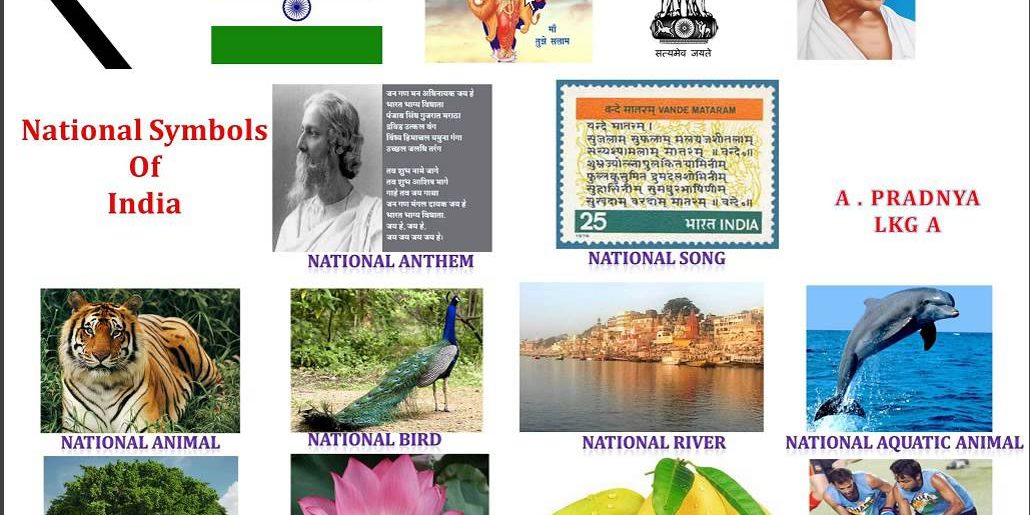 National Symbols of India - India For You