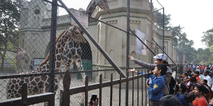 famous zoological gardens