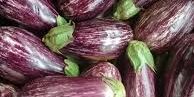 brinjal