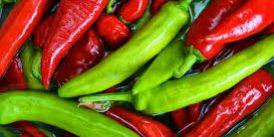 chilli1