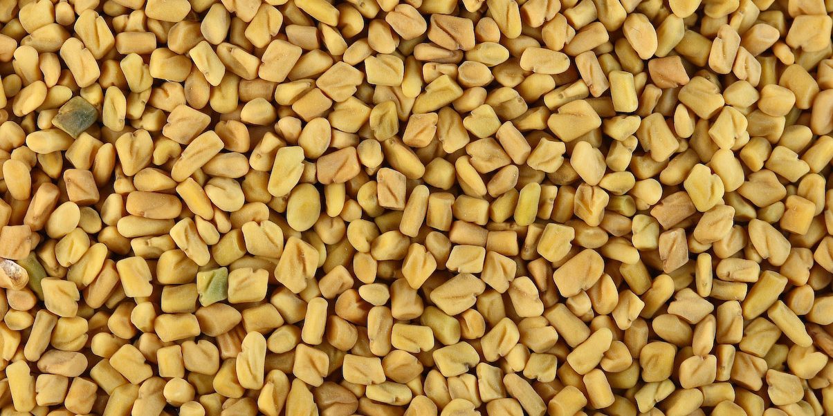 Fenugreek_seeds